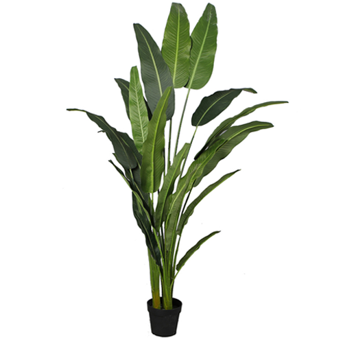 Potted Artificial Travellers Palm Tree - 200cm – Greenslades Furniture