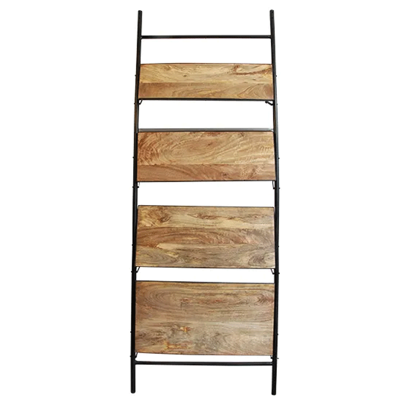 Ladder Shelf