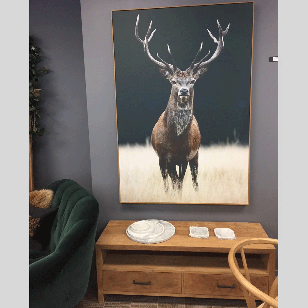 Photographic Framed Meadow Deer Canvas Print